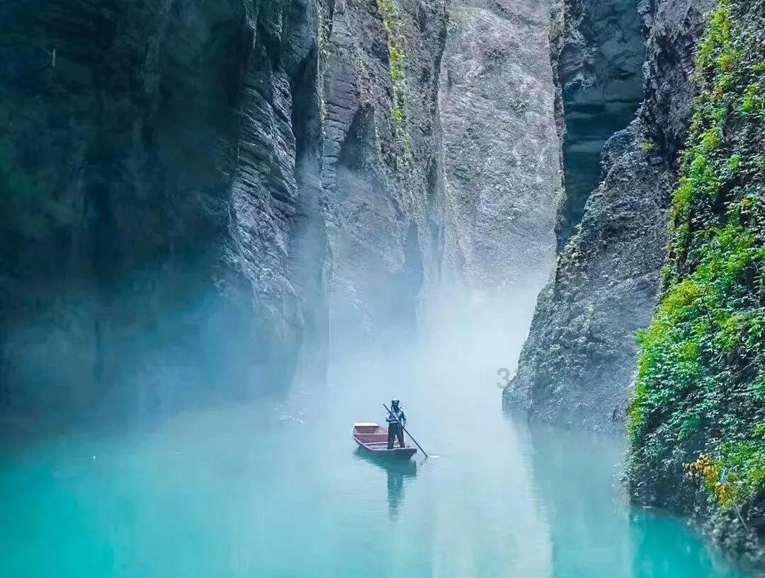 如何做寿司简单做法 寿司做法详细视频游戏画面