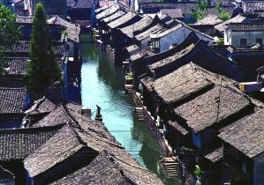 救援受困的长颈鹿